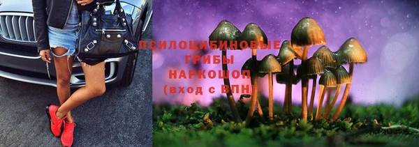 тгк Аркадак