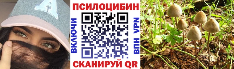 Псилоцибиновые грибы Cubensis  Калязин 
